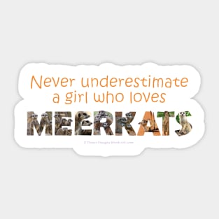 Never underestimate a girl who loves meerkats - wildlife oil painting word art Sticker